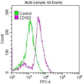 CD163 Recombinant Monoclonal Antibody [7B2]