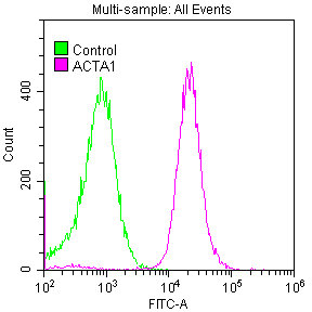 ACTA1 Recombinant Monoclonal Antibody [25E3] (50µl)