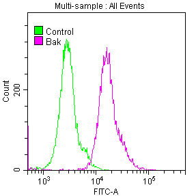 BAK1 Recombinant Monoclonal Antibody [8D1] (50µl)