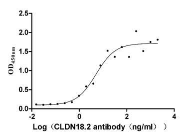 CLDN18 Recombinant Monoclonal Antibody [25E3]