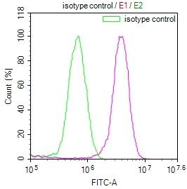 COPS3 Recombinant Monoclonal Antibody [3F9] (100µl)