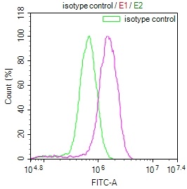 NDUFS4 Recombinant Monoclonal Antibody [9H1]