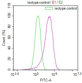 FADS1 Recombinant Monoclonal Antibody [7A10] (100µl)