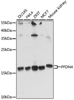 PFDN4 Polyclonal Antibody