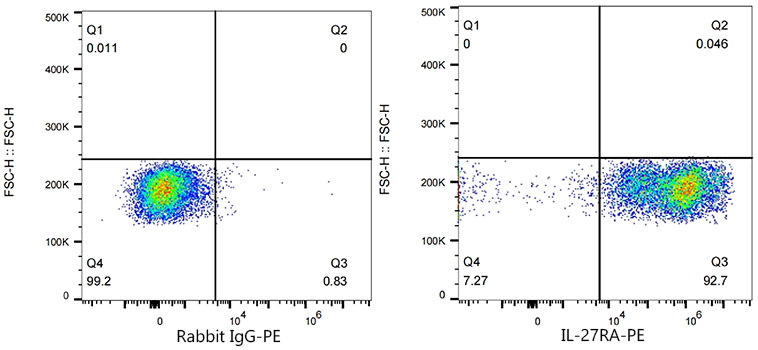 IL-27RA/WSX-1 Monoclonal Antibody [0S1T5]
