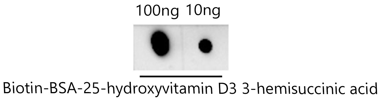 Vitamin D (25-OH-VD) Monoclonal Antibody [7P2F4]