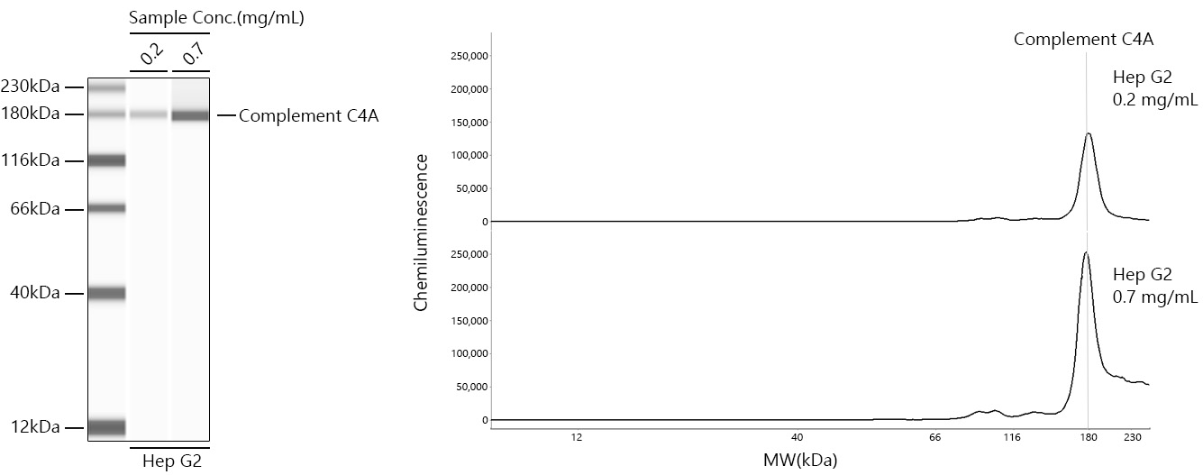 Complement C4A Monoclonal Antibody [4C3F2]
