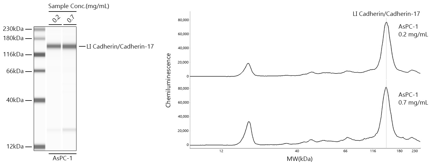 LI Cadherin/Cadherin-17 Monoclonal Antibody [9X2S3]