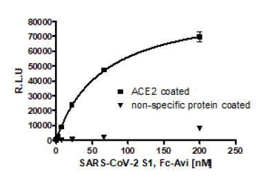 SARS-CoV-2 Spike S1 (13-665) Protein, Fc Fusion, Avi-tag