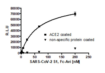 SARS-CoV-2 Spike S1 (13-665) Protein, Fc Fusion, Avi-tag (1 mg)