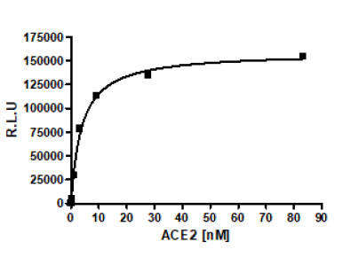 SARS-CoV-2 Spike S1 (16-685) Protein, Avi-His-tag (100 µg)