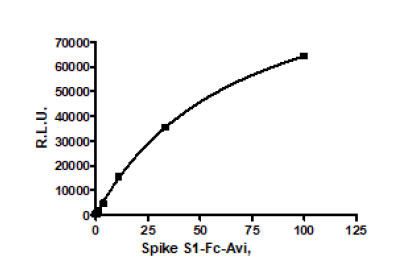 SARS-CoV-2 Spike S1 (16-685) Protein, Fc Fusion, Avi-tag (100 µg)