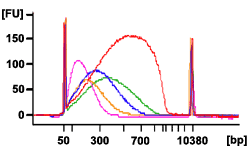 DNA shearing Bioanalyzer data