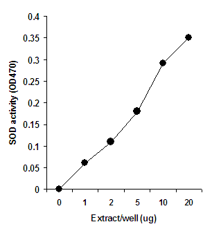 Whole cell extracts were prepared from MCF-7 cells using this kit. Activity of SOD was measured using different amounts of the extract.