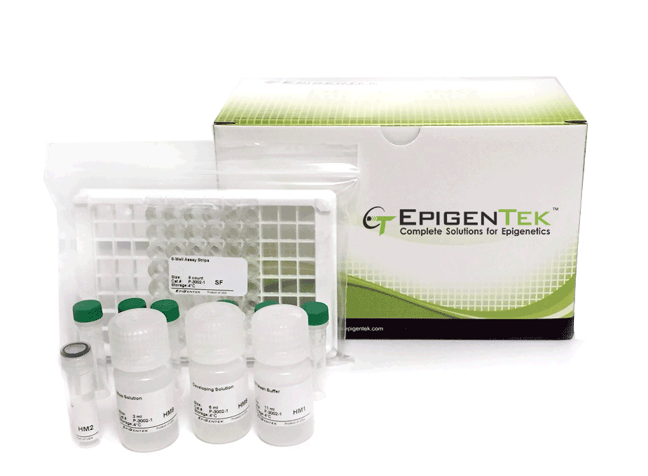 EpiQuik Histone Methyltransferase Activity/Inhibition Assay Kit (H3K4) (48 assays)