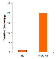 For enrichment of methylated DNA using the kit, DNA (0.5 ug) isolated from MCF-7 cells was added into the microwell. Methylated DNA was captured by 5-mC antibody prebound to the microwells.