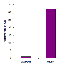 Captured methylated DNA was used for analyzing methylation level of GAPDH and MLH1 promoter with the use of primers and probes specific to GAPDH and MLH1 promoters, respectively.