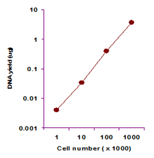 Genomic DNA was isolated from MCF-7 cell line using the FitAmp  Blood and Cultured Cell DNA Extraction kit. The isolated DNA yield was quantified by real time PCR.