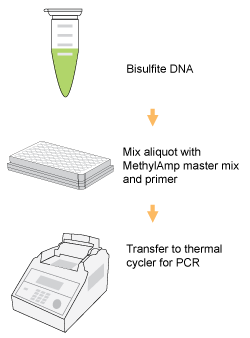 Schematic procedure for using the Methylamp MS-qPCR Fast Kit.
