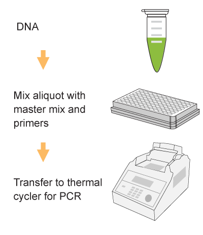 Schematic procedure of the EpiQuik Quantitative PCR Fast Kit.