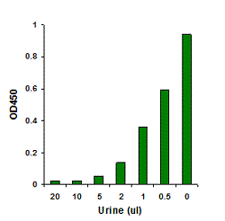 5-mC level is quantified from different volumes of human urine using the MethylFlash Urine 5-Methylcytosine Quantification Kit�(Colorimetric).