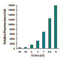 5-mC level is quantified from different volumes of human urine using the MethylFlash&trade; Urine 5-Methylcytosine Quantification Kit&nbsp;(Fluorometric)