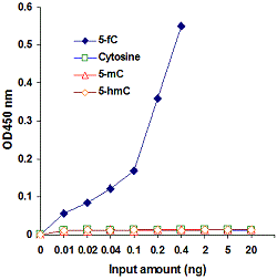 5-fC quantification