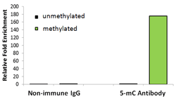 EpiQuik Viral RNA Extraction Fast Kit