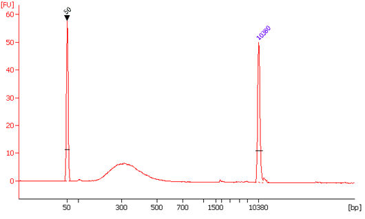Size distribution of library fragments. Human placenta DNA was sheared to around 300 bps in peak size and 0.2 ng of DNA was used for DNA library preparation using EpiNext� High-Sensitivity DNA Library Preparation Kit.