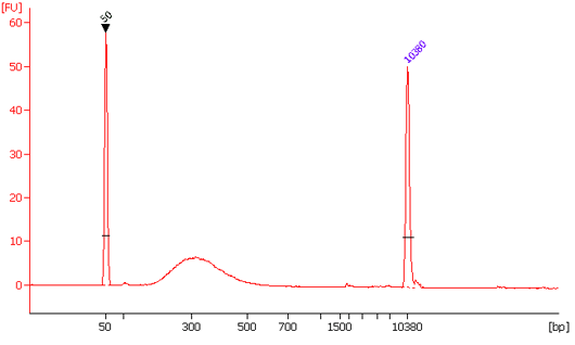 Size distribution of library fragments. Human placenta DNA was sheared to around 300 bps in peak size and 0.2 ng of DNA was used for DNA library preparation using EpiNext High-Sensitivity DNA Library Preparation Kit.