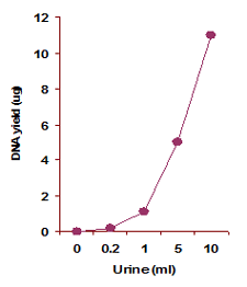 Genomic DNA was isolated from human urine using the FitAmp Urine DNA Isolation Kit. The isolated DNA yield was quantified by real time PCR.