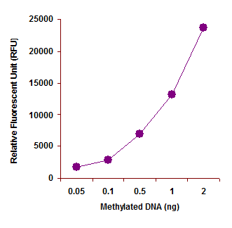 Quantification of methylated DNA using the fluorometric SuperSense Methylated DNA Quantification Kit.
