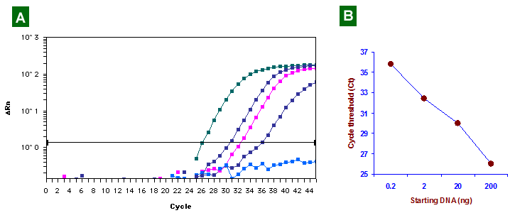 Effective DNA Protection: Fully methylated human genomic DNA at various amounts (0.2 ng-200 ng) were converted using the BisulFlash DNA Modification Kit. 1