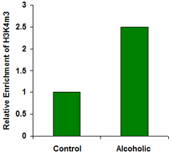 ChIP analysis of H3K4me3 in UBE1 gene promoter using the EpiQuik Tissue Methyl-Histone H3K4 ChIP Kit. Precipitated DNA from control samples and samples from alcoholics were examined by quantitative PCR.