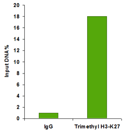 ChIP analysis of tri-methyl H3-K27 enriched in AGAMOUS gene with chromatin extract prepared from 2-week-old icu2-1/icu2-1 seedlings using the ChromaFlash�Plant Chromatin Extraction Kit.