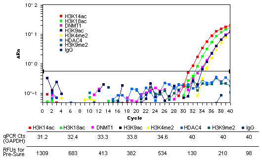 Pre-Sure ChIP Antibody Validation Kit (48 reactions)