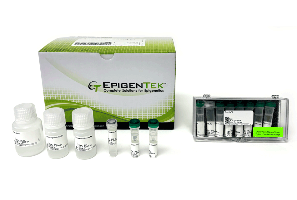 CUT&LUNCH Assay Kit