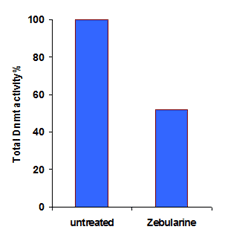 HSC-3 cells were incubated with/without zebularine (220 mM) for 48 hours. Nuclear proteins were extracted and total DNMT activity was measured.