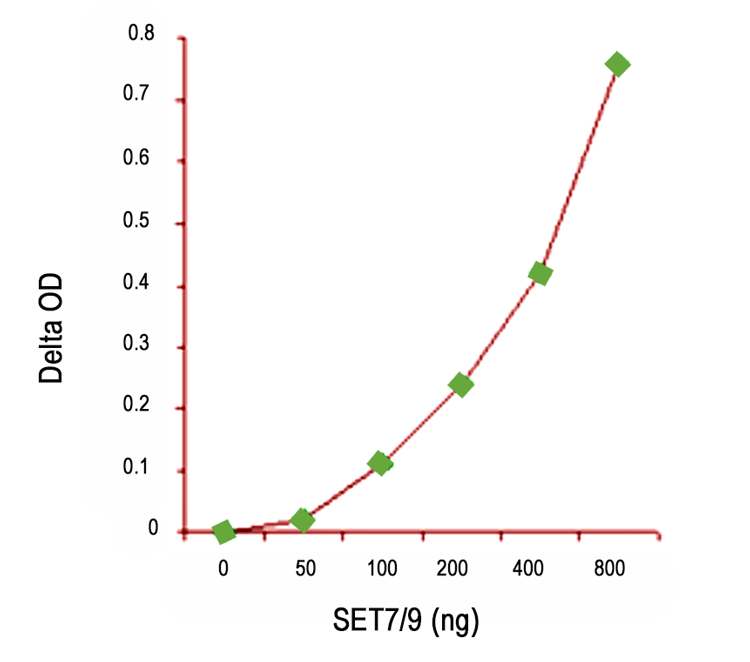 Nuclear extracts were prepared from MCF-7 cells using the EpiQuik Nuclear Extraction Kit and H3-K4 specific histone methyltrasferase activity (SET7/9) was measured.