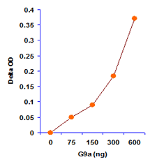 Nuclear extracts were prepared from MCF-7 cells using the EpiQuik Nuclear Extraction Kit and H3-K9 specific histone methyltrasferase activity (G9a) was measured.