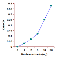 Nuclear extracts were prepared from MCF-7 cells using the EpiQuik Nuclear Extraction Kit and H3-K27 specific histone methyltrasferase activity was measured.