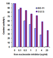 DNMT1 inhibition: Recombinant DNMT1 was incubated with substrate and inhibitors. DNMT1 activity was measured in the presence or absence of inhibitors.