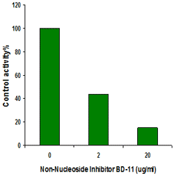 Recombinant DNMT3B was incubated with substrate and inhibitor BD-11. DNMT3B activity was measured in the presence or absence of inhibitors.