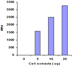 HDM (H3-K4 specific) activity measured from Hela cell extracts.