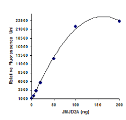 Demonstration of high sensitivity of the JMJD2 activity assay achieved by using recombinant JMJD2 with the Epigenase JMJD2 Demethylase Activity/Inhibition Assay Kit (Fluorometric).