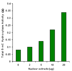 EpiQuik Viral RNA Extraction Fast Kit