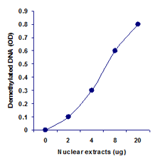 Nuclear extracts were prepared from MCF-7 cells using the EpiQuik Nuclear Extraction Kit and total DNA demethylase activity was measured.