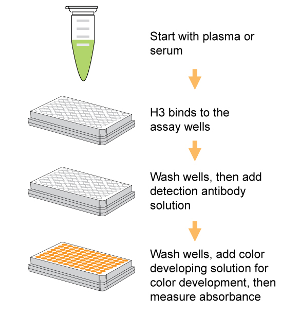 Schematic procedure of the EpiQuik Circulating Total Histone H3 Quantification Kit (Colorimetric).