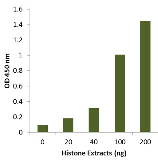 Histone extracts were prepared from HL-60 cells using the EpiQuik� Total Histone Extraction Kit and the amount of H3cit was measured using the EpiQuik� Histone H3 Citrullination ELISA Kit (Colorimetric).