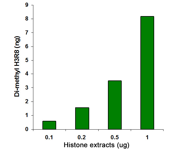 Histone extracts were prepared from MDA-231 cells using the EpiQuik Total Histone Extraction Kit and the amount of dimethyl-H3R8 was measured using the EpiQuik Global Dimethyl Histone H3R8 Quantification Kit (Colorimetric).